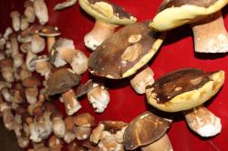 cepes-sur-table-rouge-i.jpg